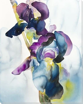 Prisma Iris Flowers Wrapped Canvas Giclee Print Wall Art