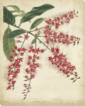Tropical Floral III Wrapped Canvas Giclee Print Wall Art