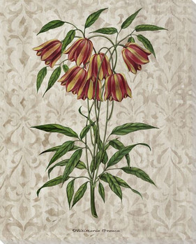 Victorian Flowers I Wrapped Canvas Giclee Print Wall Art