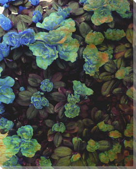 Luxurious Flowers II Wrapped Canvas Giclee Print Wall Art