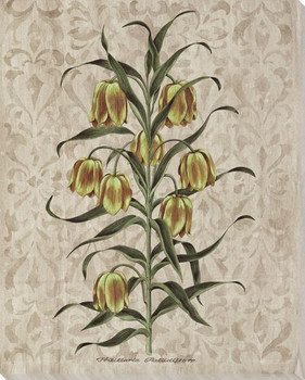 Victorian Flowers II Wrapped Canvas Giclee Print Wall Art