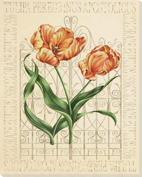 Flaming Tulip Flowers Wrapped Canvas Giclee Print Wall Art