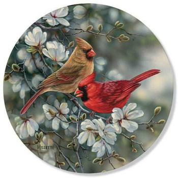 Cardinal Birds and Magnolias Absorbent Beverage Coasters by Rosemary Millette, Set of 4