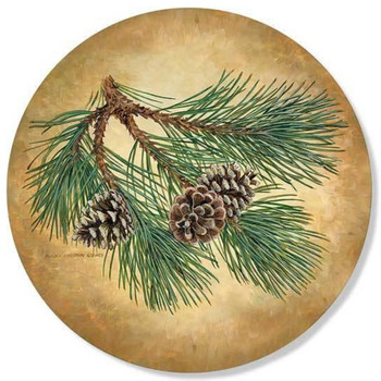 Fruits of the Red Pine Pinecone Absorbent Beverage Coasters by Persis Clayton Weirs, Set of 4