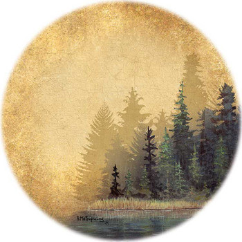 Misty Forest Absorbent Beverage Coasters by Bob Metropulos, Set of 4
