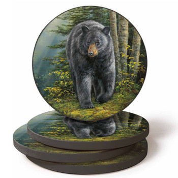 Rocky Outcrop Black Bear Absorbent Beverage Coasters by Rosemary Millette, Set of 4