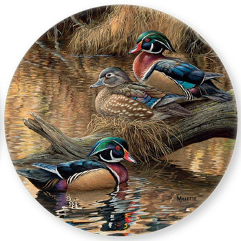 Sitting Pretty Ducks Absorbent Beverage Coasters by Rosemary Millette, Set of 4