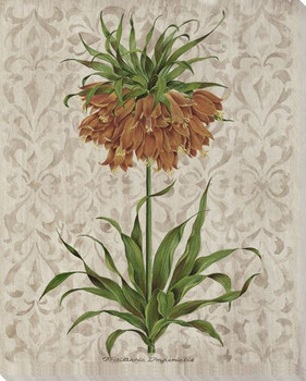 Victorian Flowers III Wrapped Canvas Giclee Print Wall Art