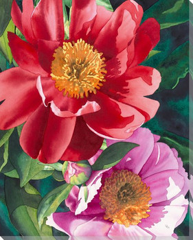 Red and Pink Peony Flowers Wrapped Canvas Giclee Print Wall Art