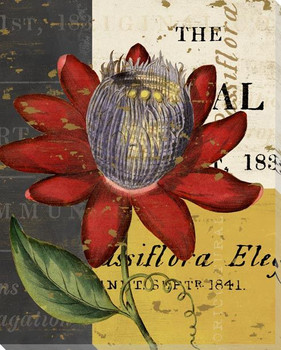 Floricultural Cabinet 1835 Flower 3 Wrapped Canvas Giclee Art Print