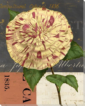 Floricultural Cabinet 1835 Flower 6 Wrapped Canvas Giclee Art Print
