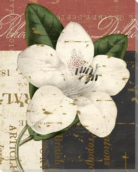 Floricultural Cabinet 1835 Flower 7 Wrapped Canvas Giclee Art Print