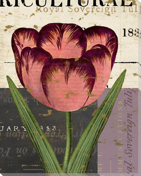 Floricultural Cabinet 1835 Flower 8 Wrapped Canvas Giclee Art Print