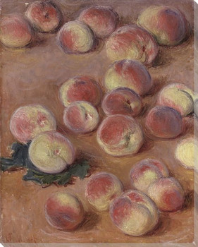 Lots of Peaches Wrapped Canvas Giclee Print Wall Art