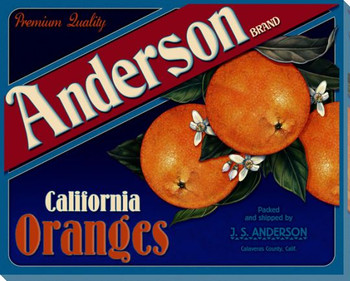 Anderson Oranges Wrapped Canvas Giclee Print Wall Art