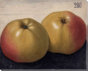 Yellow Apples No. 280 Wrapped Canvas Giclee Print Wall Art