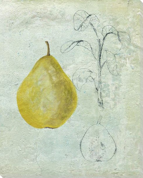Cross Section of a Pear Wrapped Canvas Giclee Print Wall Art
