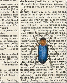 Design Bug Wrapped Canvas Giclee Print Wall Art