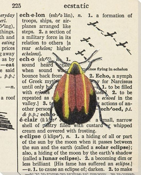 Eclipse Bug Wrapped Canvas Giclee Print Wall Art