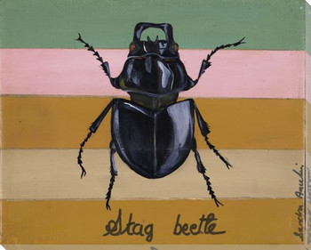 Stag Beetle Bug Wrapped Canvas Giclee Print Wall Art