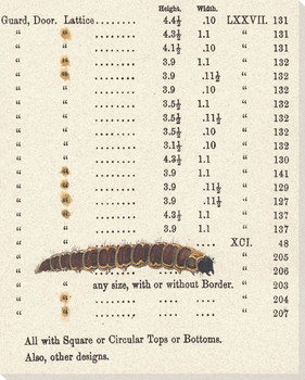 Rust Caterpillar Wrapped Canvas Giclee Print Wall Art