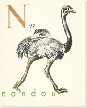 N. Nandou Wrapped Canvas Giclee Print Wall Art
