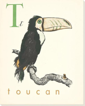 T. Toucan Wrapped Canvas Giclee Print Wall Art