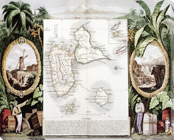 Tropical Map No. 2 Wrapped Canvas Giclee Print Wall Art