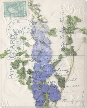 Small Postcard Wildflowers II Wrapped Canvas Giclee Print Wall Art