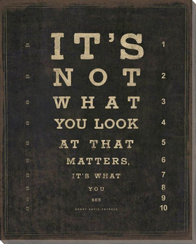 It's Not What You Look At... Saying Wrapped Canvas Giclee Print
