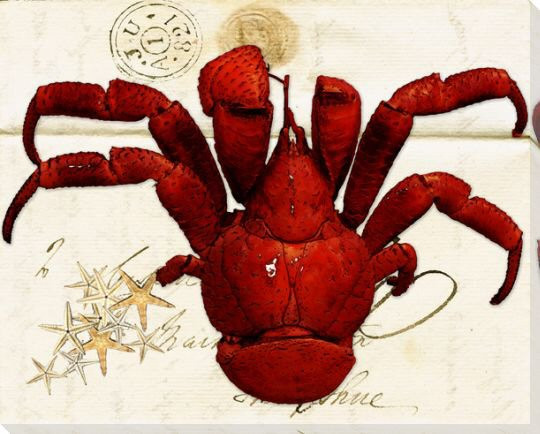 Crab French Letter Wrapped Canvas Giclee Print Wall Art