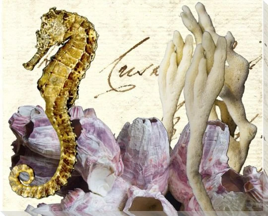 Seahorse and Coral Wrapped Canvas Giclee Print Wall Art