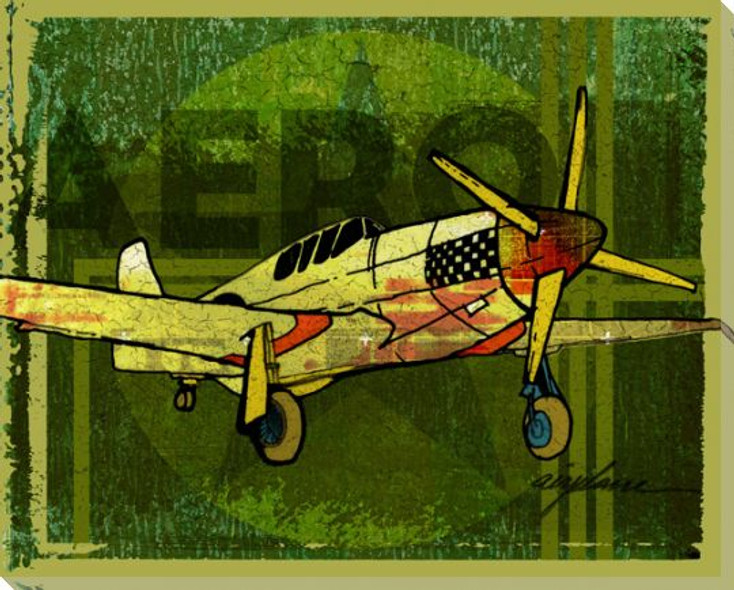 Need Aero Airplane Wrapped Canvas Giclee Print Wall Art