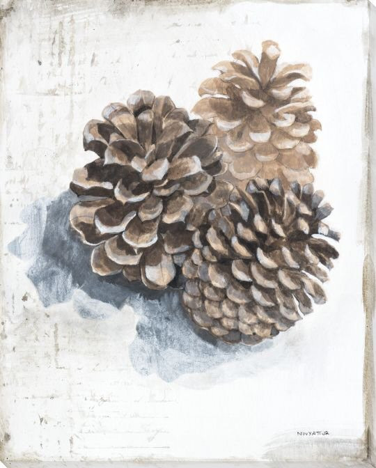 Pine Cones Wrapped Canvas Giclee Print Wall Art