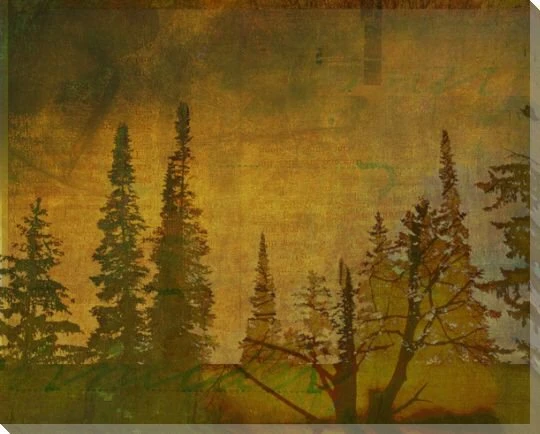 Shadow of Trees One Wrapped Canvas Giclee Print Wall Art