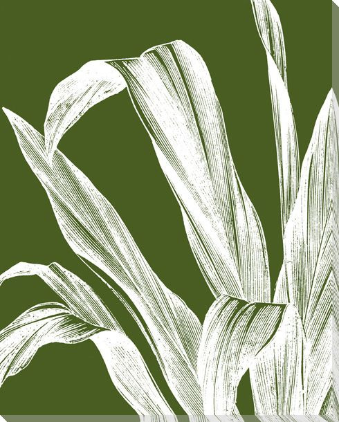 Botanical Etching IX Wrapped Canvas Giclee Print Wall Art