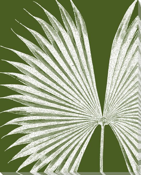 Botanical Etching III Wrapped Canvas Giclee Print Wall Art