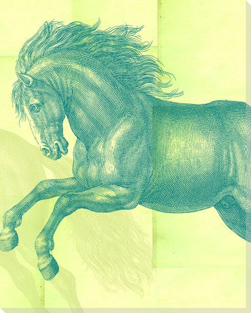 Silk Horse Wrapped Canvas Giclee Print Wall Art