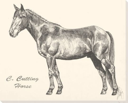 C Cutting Horse Wrapped Canvas Giclee Print Wall Art