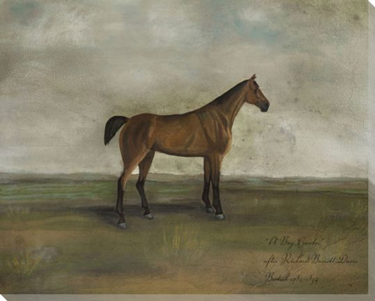 A Bay Hunter Horse Wrapped Canvas Giclee Print Wall Art