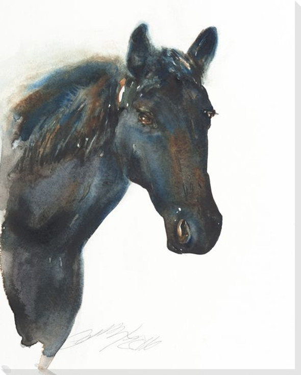 Black Beauty Horse Wrapped Canvas Giclee Print Wall Art