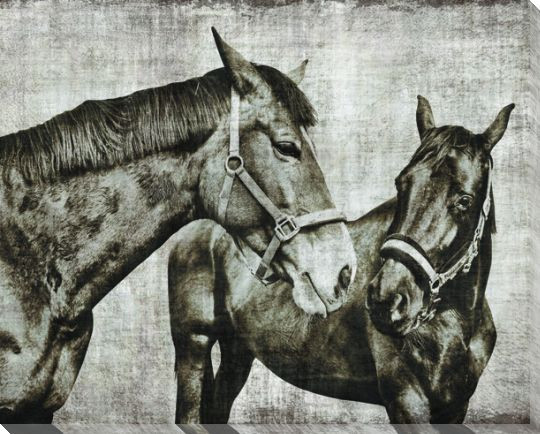 Gathering of Horses 1 Wrapped Canvas Giclee Print Wall Art