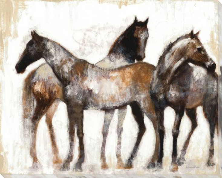 Resting Equine Horses Wrapped Canvas Giclee Print Wall Art