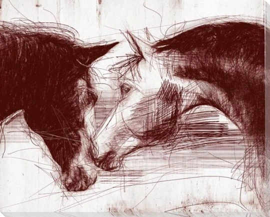 Sketched Horse Heads 2 Wrapped Canvas Giclee Art Print Wall Art