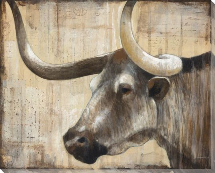 Long Horn IV Wrapped Canvas Giclee Print Wall Art