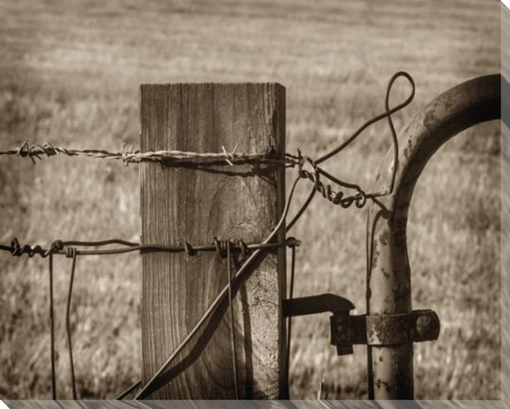 Barbed Wire Wrapped Canvas Giclee Art Print Wall Art