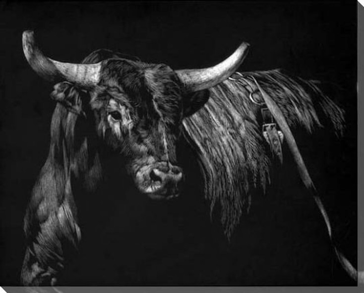 Brindle Rodeo Bull Wrapped Canvas Giclee Print Wall Art