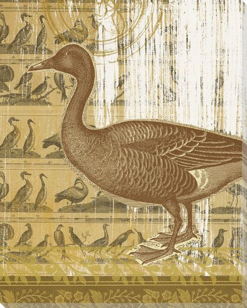 First Duck Bird Wrapped Canvas Giclee Print Wall Art
