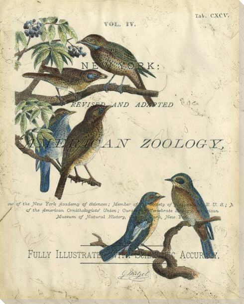 Vintage Birds I Wrapped Canvas Giclee Print Wall Art