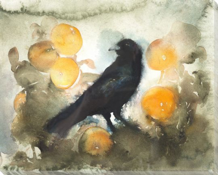 Orange Crow Bird Wrapped Canvas Giclee Print Wall Art